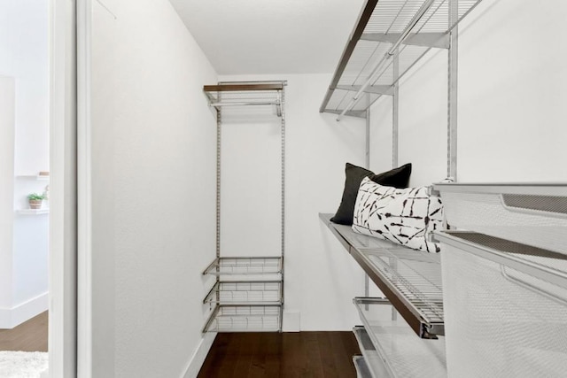 walk in closet featuring hardwood / wood-style floors