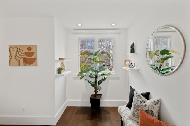 sitting room featuring a healthy amount of sunlight and hardwood / wood-style floors