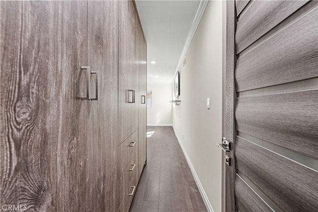 hallway with crown molding and dark wood-type flooring