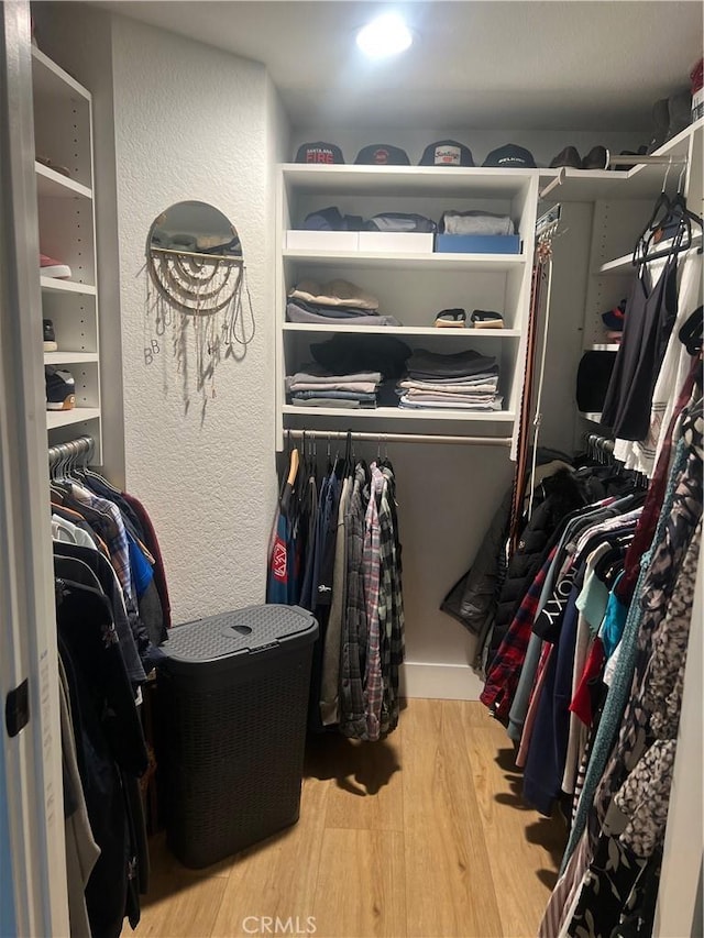 spacious closet featuring wood-type flooring