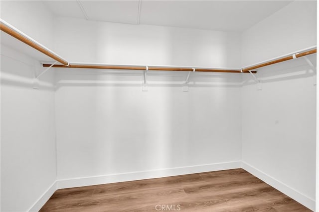 spacious closet with hardwood / wood-style floors