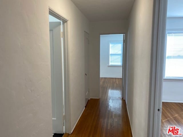 corridor with dark hardwood / wood-style floors