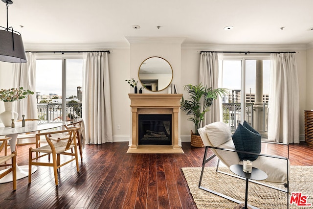 interior space with ornamental molding, dark hardwood / wood-style floors, and a wealth of natural light