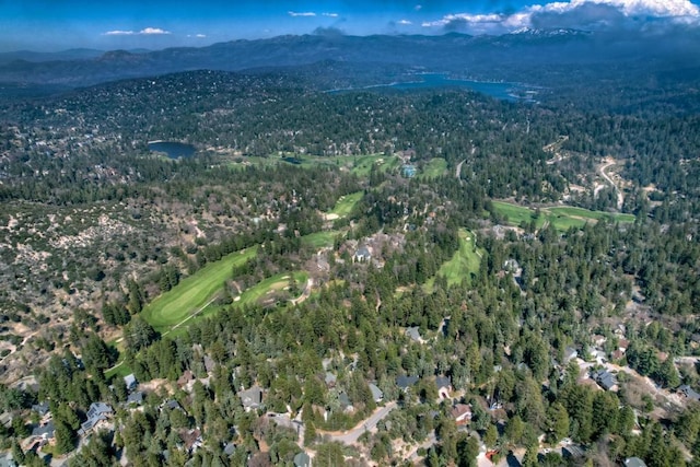 bird's eye view featuring a mountain view