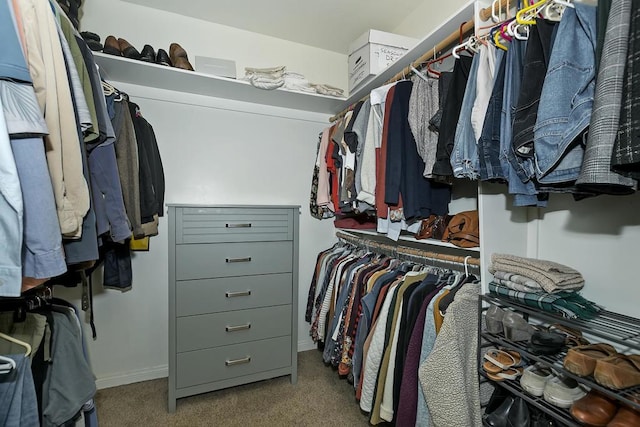 spacious closet with carpet flooring