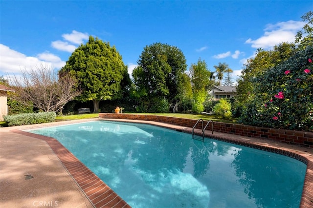 view of swimming pool