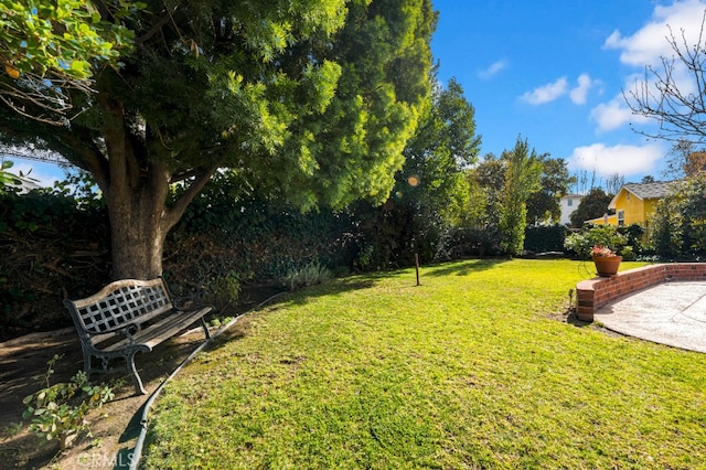 view of yard with a patio