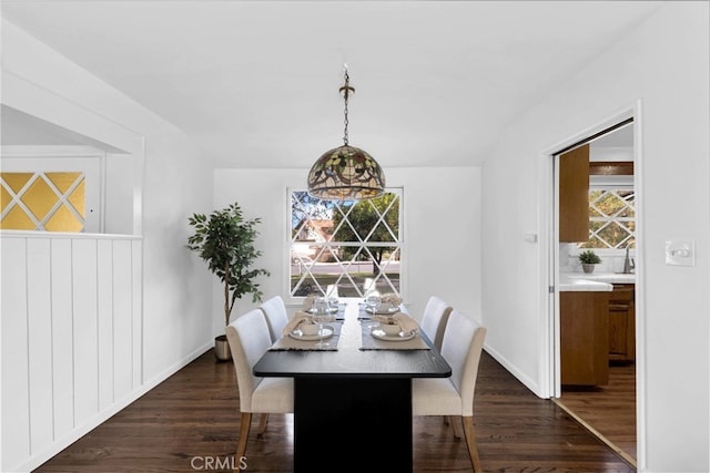 dining space with plenty of natural light and dark hardwood / wood-style floors