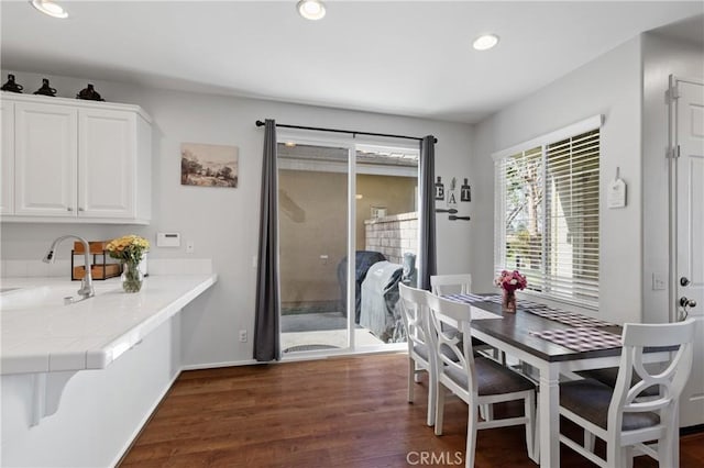 dining room featuring sink and dark wood-type flooring