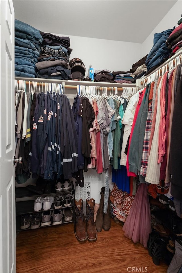 walk in closet with hardwood / wood-style flooring