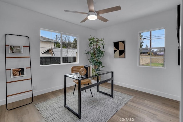 office space featuring hardwood / wood-style floors and ceiling fan