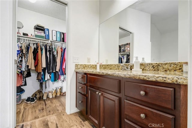 bathroom with hardwood / wood-style flooring and vanity