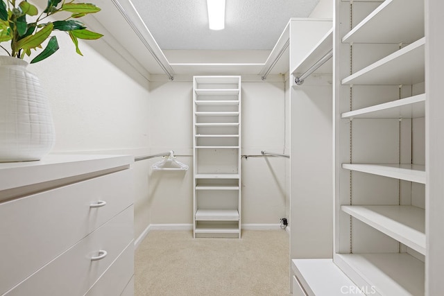 spacious closet with light carpet