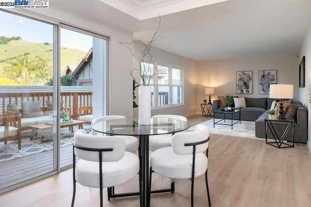 dining space featuring a healthy amount of sunlight and light hardwood / wood-style flooring