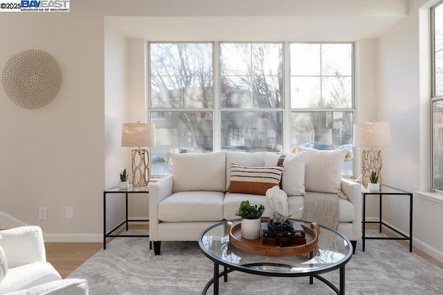 living room featuring light hardwood / wood-style flooring