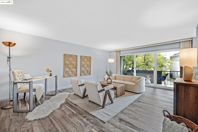 living room with wood-type flooring