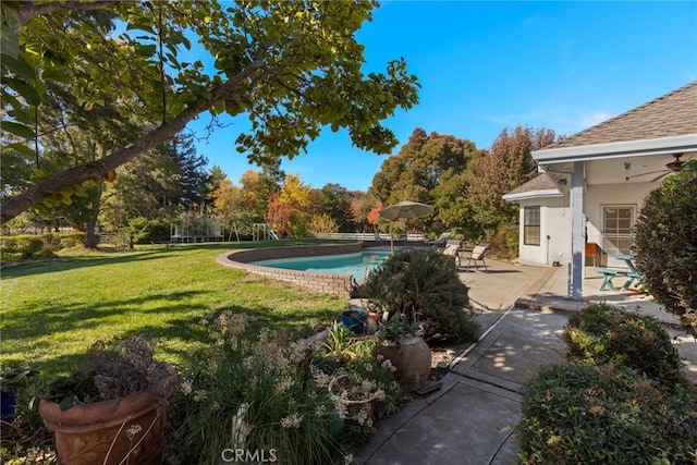 view of yard featuring an outdoor pool and a patio