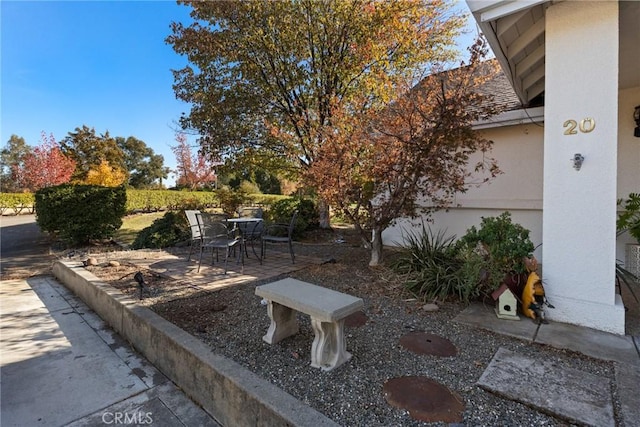 view of yard featuring a patio area