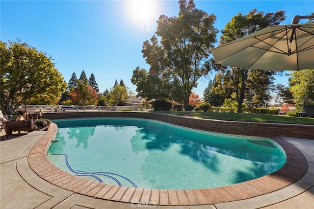 outdoor pool featuring a patio