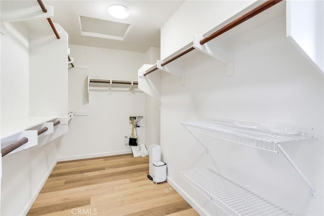 walk in closet with light hardwood / wood-style flooring