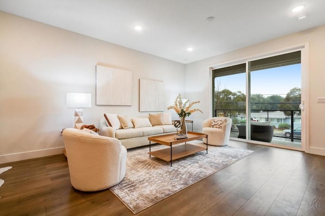 living room with dark hardwood / wood-style flooring