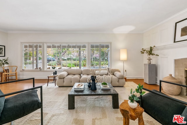 living room with ornamental molding and light hardwood / wood-style flooring