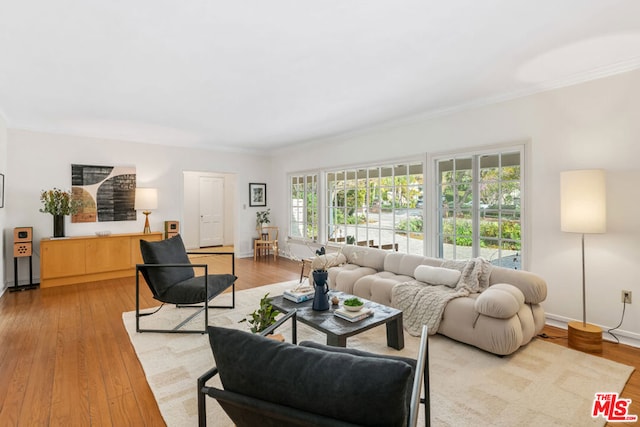 living room featuring crown molding and light hardwood / wood-style flooring