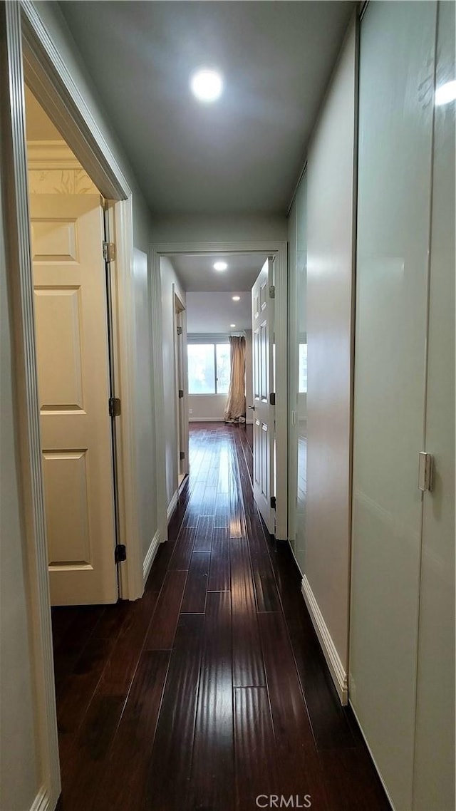 corridor featuring dark wood-type flooring