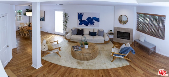 living room featuring wood-type flooring and a fireplace