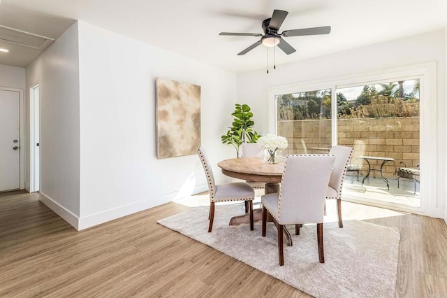 dining area featuring ceiling fan and light wood-type flooring