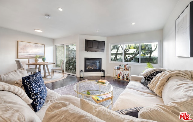 living room featuring dark wood-type flooring