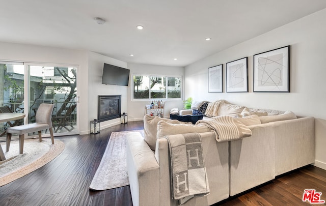 living room featuring dark hardwood / wood-style floors