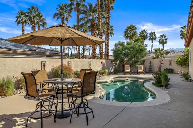 view of pool featuring a patio