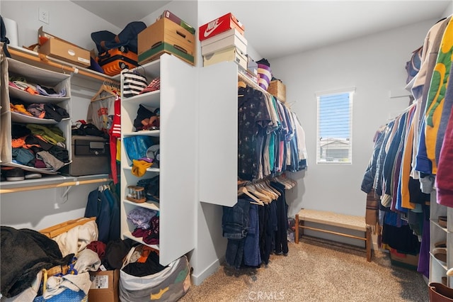 walk in closet with light colored carpet