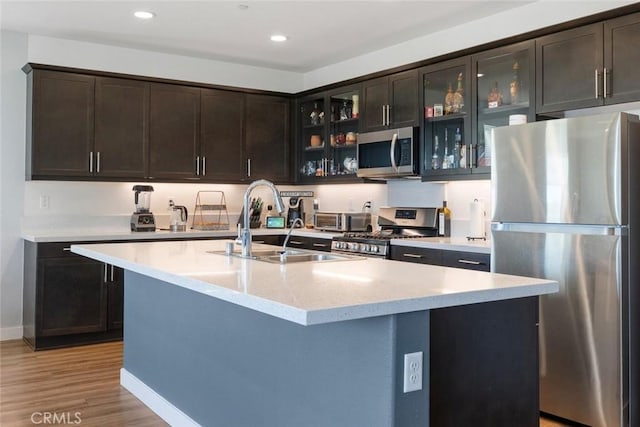 kitchen with sink, appliances with stainless steel finishes, a kitchen island with sink, dark brown cabinetry, and light wood-type flooring