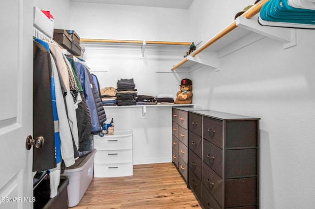 walk in closet with light hardwood / wood-style floors