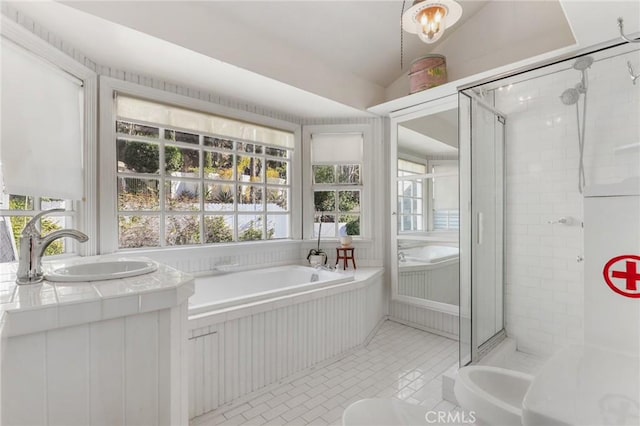 bathroom featuring vanity, independent shower and bath, and a healthy amount of sunlight