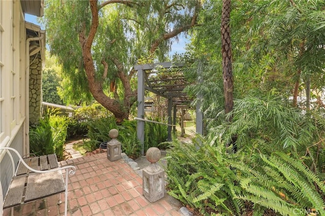 view of patio / terrace featuring a pergola