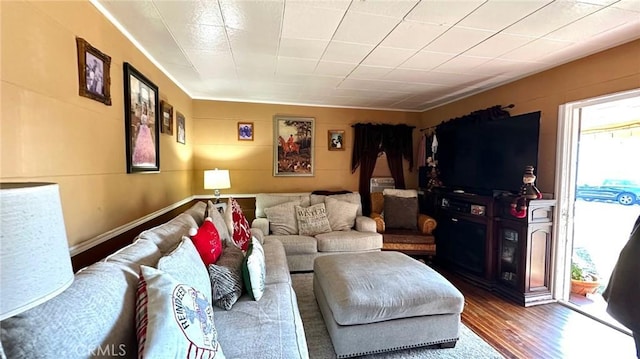 living room with dark hardwood / wood-style floors