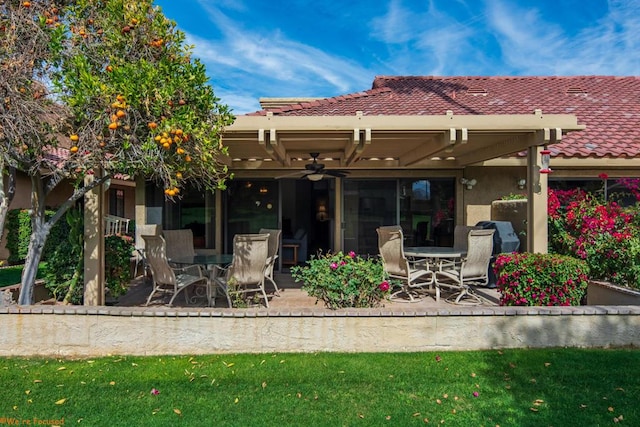 back of house featuring a patio, ceiling fan, and a lawn