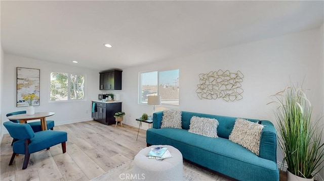 living room featuring light hardwood / wood-style floors