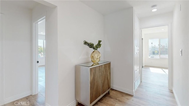 corridor with plenty of natural light and light hardwood / wood-style floors