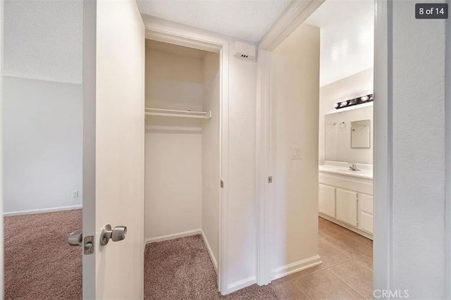 closet with sink