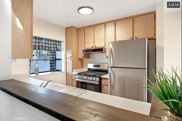 kitchen featuring ventilation hood, appliances with stainless steel finishes, sink, and light brown cabinets