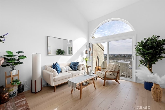 living room featuring high vaulted ceiling and light hardwood / wood-style flooring