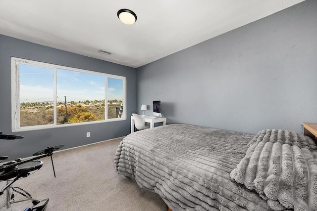 bedroom with carpet flooring