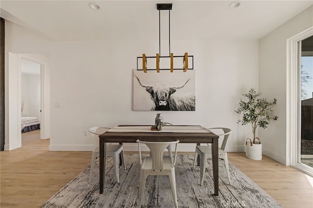 dining room with light hardwood / wood-style flooring