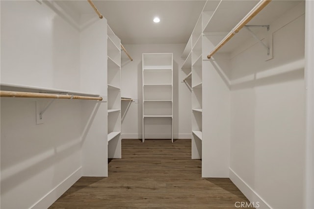 spacious closet featuring dark hardwood / wood-style flooring