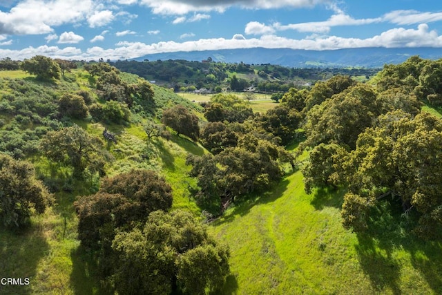 aerial view with a mountain view