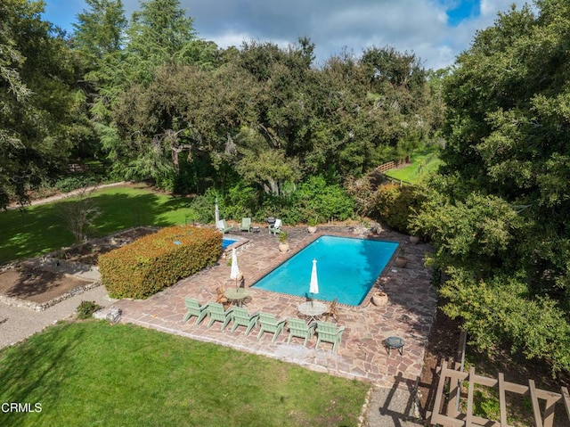 view of swimming pool featuring a yard and a patio